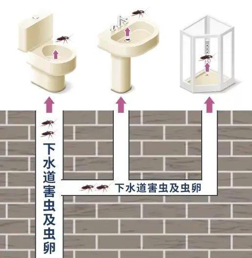 马桶、下水道堵了别再傻傻花冤枉钱了！一颗洁净丸就能搞定！一次不到一块钱！