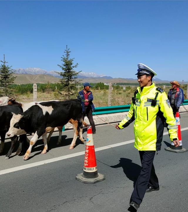 【你好，警察节】我们将这些治愈暖心的笑容送给你