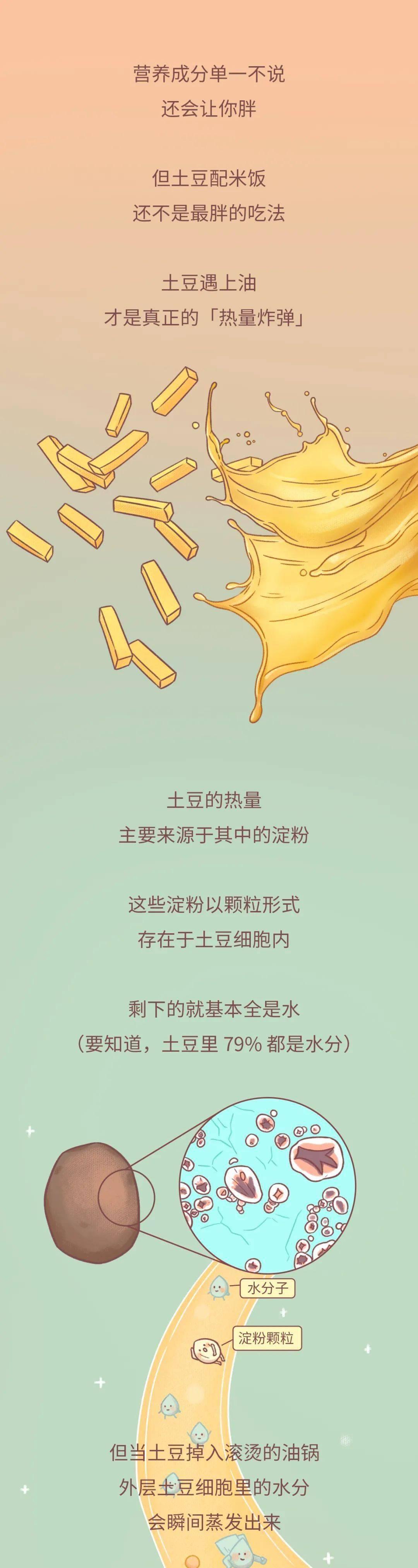 一个秘密：土豆不要和米饭一起吃