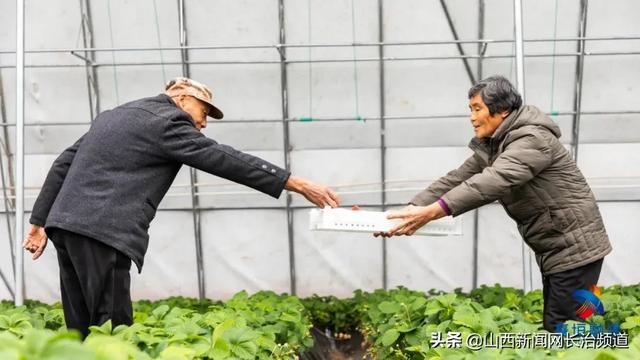 襄垣县虒亭镇司马村：颗颗红草莓“映红”乡亲致富路