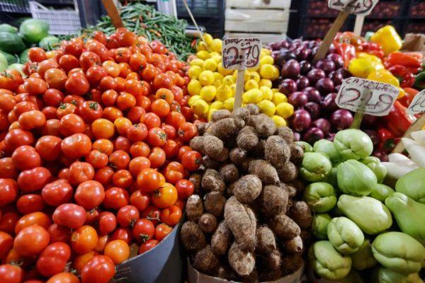 种子生物多样性：粮食生产的生命保险