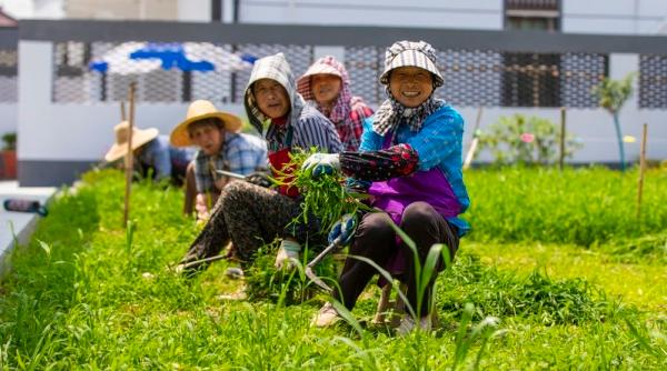 村民最盼望的设施是啥？不是活动室，你肯定想不到…沪郊乡村量身定制生活圈