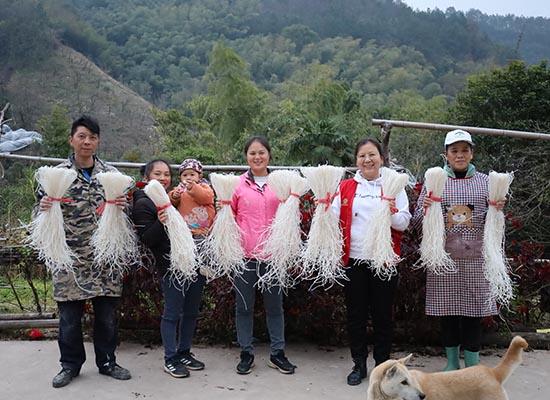 阳朔县普益乡：土味木薯粉条走俏年货市场