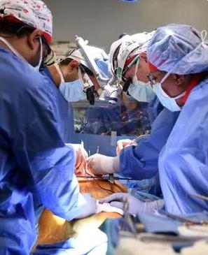 美国心脏病患者成功移植猪心脏，“中国肺移植第一人”陈静瑜发文感叹