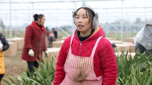 安州：兰花飘香产业旺.村民致富有奔头