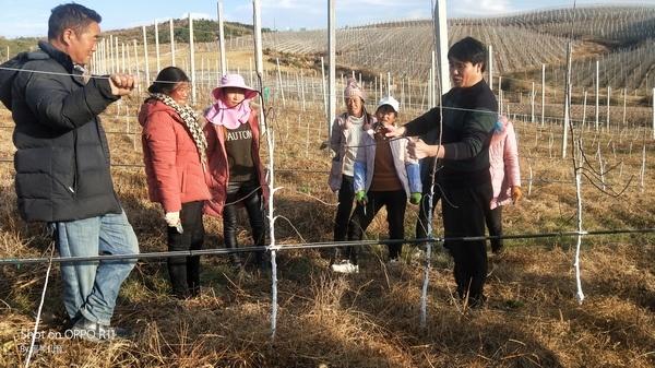 贵州省农业科技专家杨华：一个苹果一生情