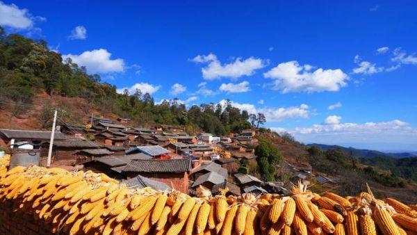 楚雄永仁：留住乡土味 赋能乡村美