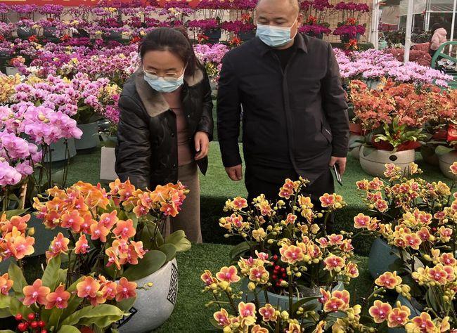 潍坊青州：线上线下齐发力 鲜花畅销迎“双节”