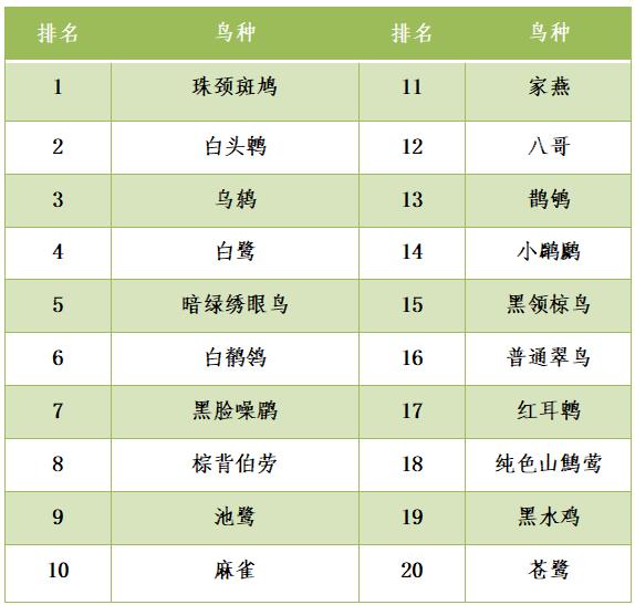 快来看！2021年福建鸟人观鸟大数据新鲜出炉啦