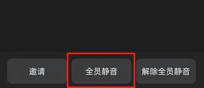 钉钉开会怎么设置全员静音？钉钉线上开会详细教程说明