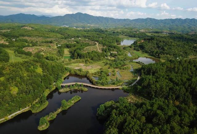 播报 | 福建龙岩改革农村“六大员”选聘管理 由“县聘乡管村用”变为“乡聘村用县备案”