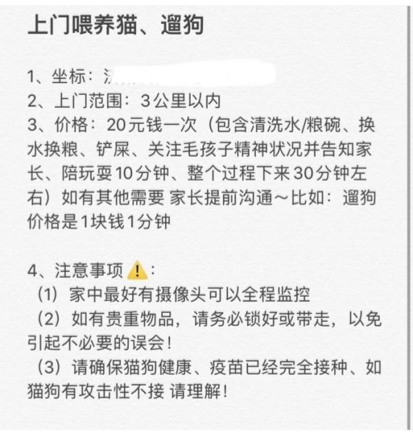 全托还是上门？春节前济南宠物“托管”生意火爆