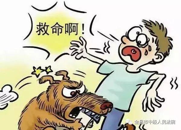 【金法说案】雇人抓狗反被狗咬 责任怎么担