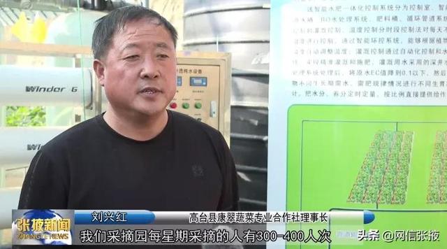 张掖：做大做强设施农业 为乡村振兴蓄势赋能