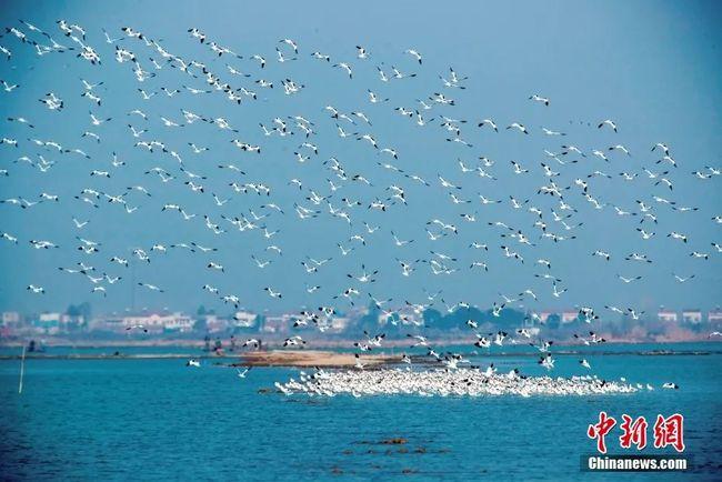 与人交谈时，少说这3种话，福气会越来越多