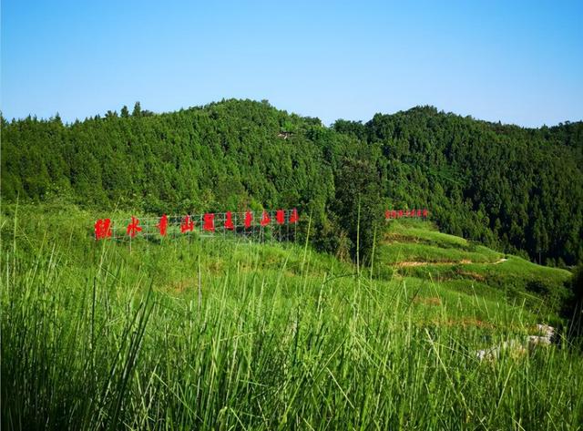 「生态振兴，重庆在行动」“两山”论之“重庆实践”