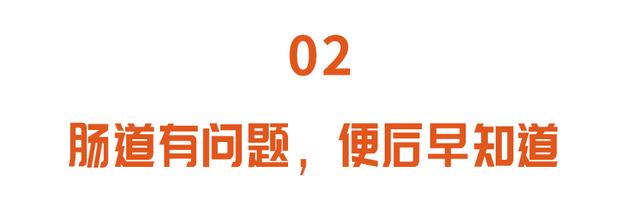 肠道不好，50多种疾病接踵而来！两吃一动，养护肠胃更健康