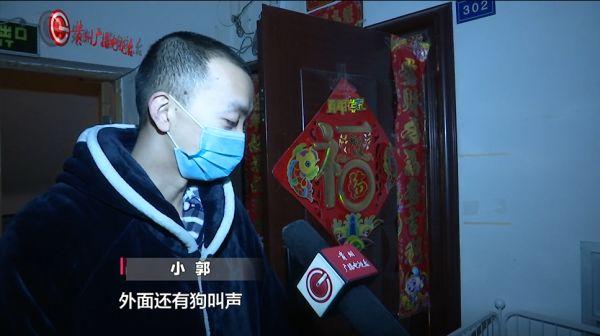 “不速之客”闯进家，竟然赖着不走了！房主为它急寻主人