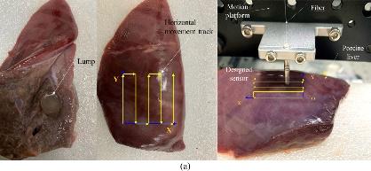 科学家开发出基于FBG传感原理的触觉传感器应用于微创手术组织触诊