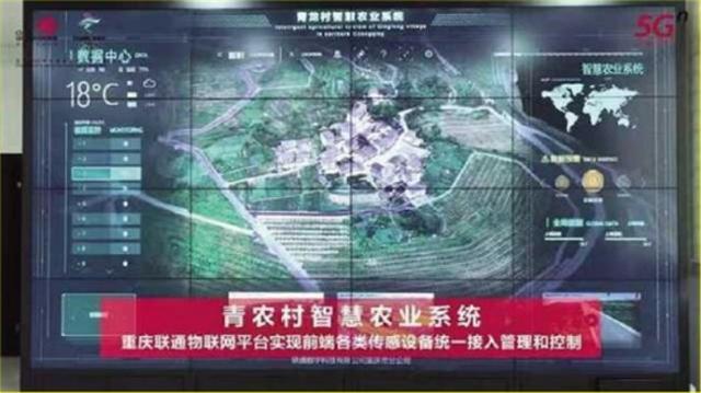 「乡村振兴 重庆画卷」乡村振兴路上的联通力量