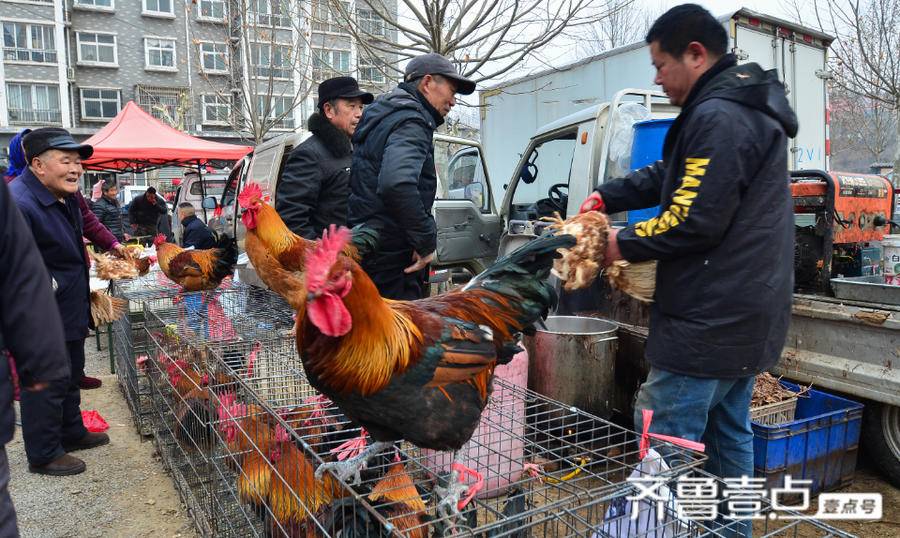 赶年集 寻年味，西营大集很热闹