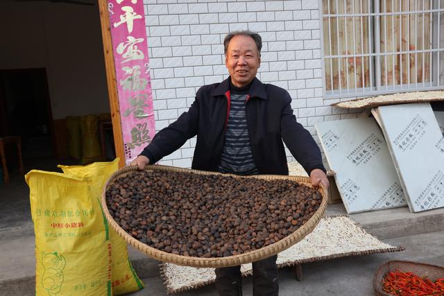 待到茶花烂漫时