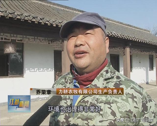 “两带一区”特色田园乡村行 黄花村：瞄准生态做文章 水映黄花分外香