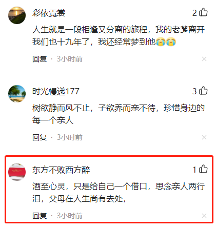 陕西一男子喝醉后，却想找去世8年的妈妈，网友：酒至心灵！