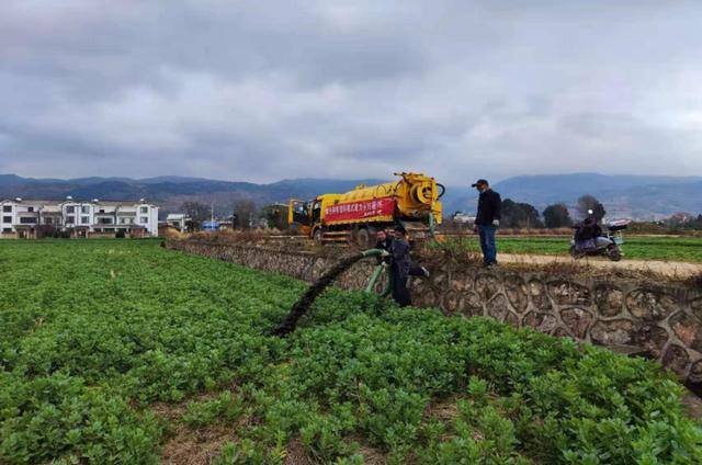 珠街街道涌泉村绿色种养循环模式助力乡村振兴