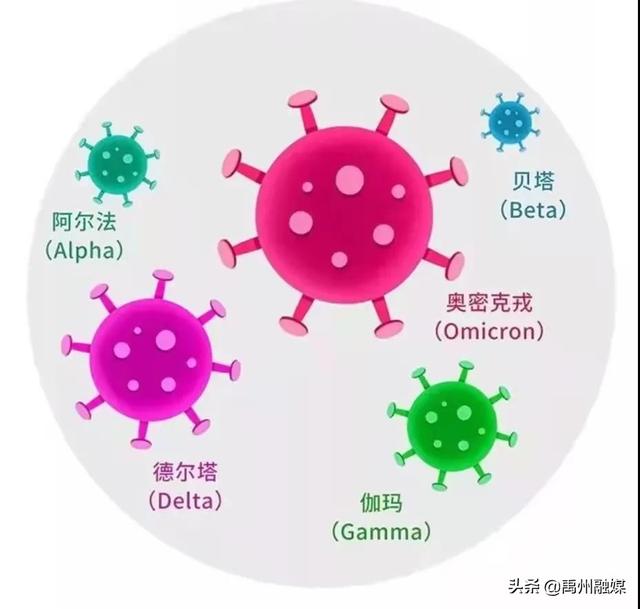 日常消毒有误区，禹州市疾控中心特别提醒