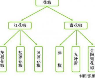 青花椒藤椒是一回事？别混淆了，专家来正名！