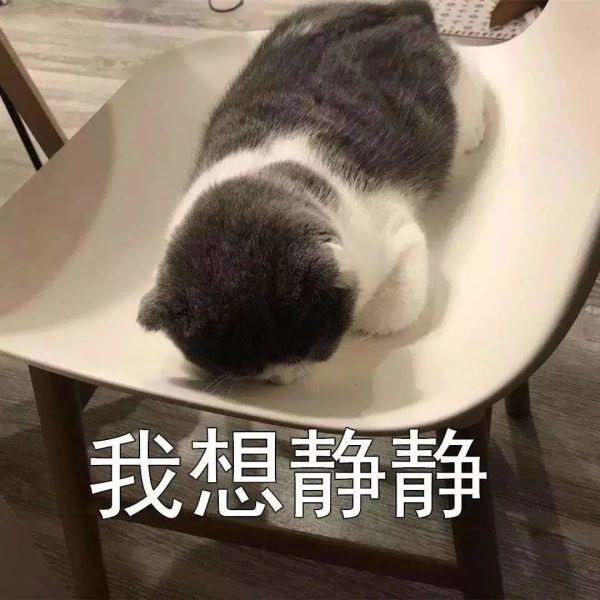 厦门男子肠胃不适，喝了段时间猪肚汤，结果更严重了！送医检查竟是…