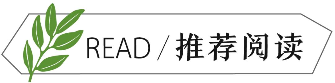 “我不敢在微信上表白。”