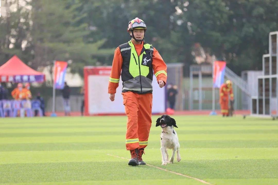 【听见】高颜值、硬实力 厦门消防搜救犬天团集结完毕！