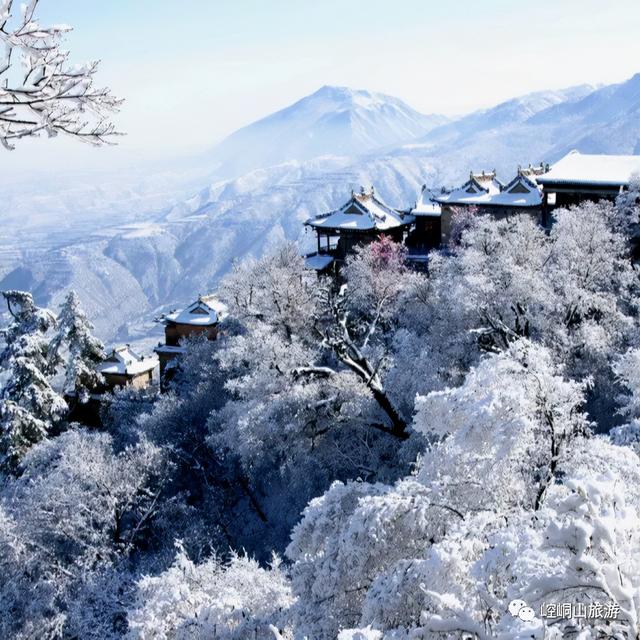 会养生·来崆峒丨山中有云，自有清净心