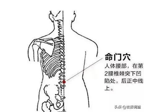 中医专家告诉你：从人体经络角度分析，守住“五扇门”，可以解决现代人普遍存在的一些健康困扰