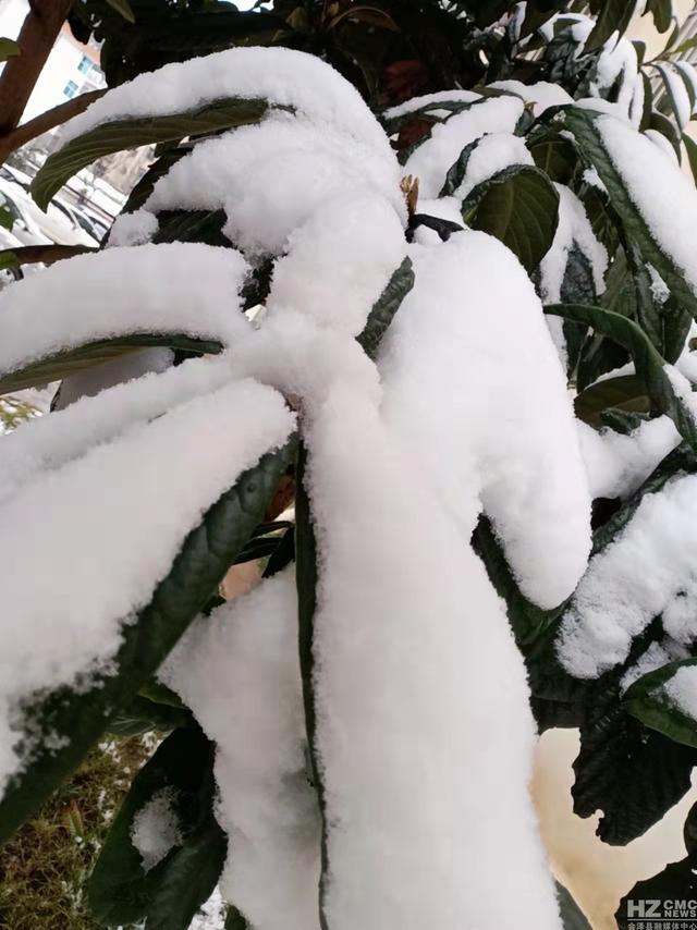 雪是不结果的花 图文/邵秀英