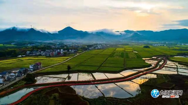 江湖大地美丽蝶变！湖口县推进农村宅基地制度改革纪实