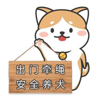 文明养犬，宠爱有方