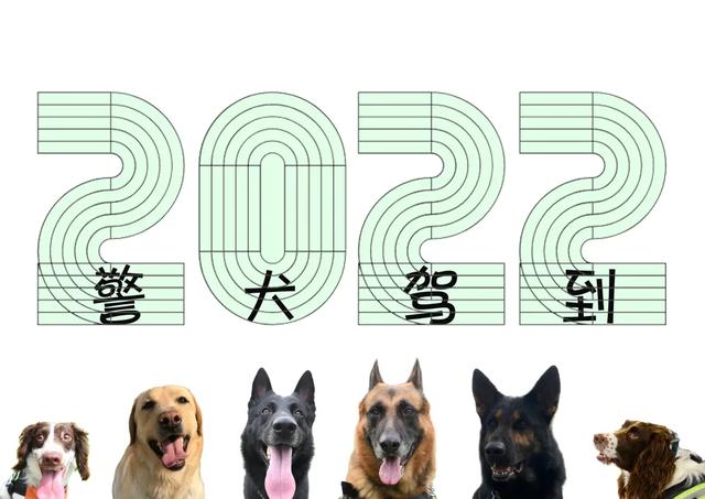 与警犬零距离的机会来了！