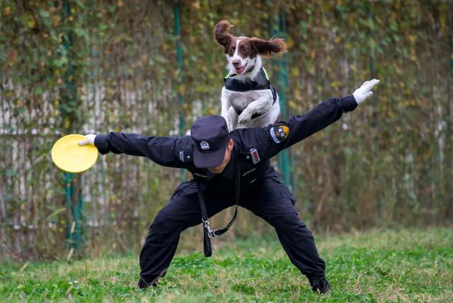 与警犬零距离的机会来了！