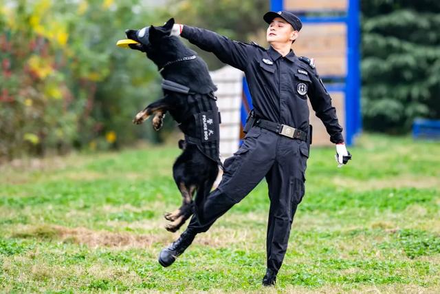 与警犬零距离的机会来了！