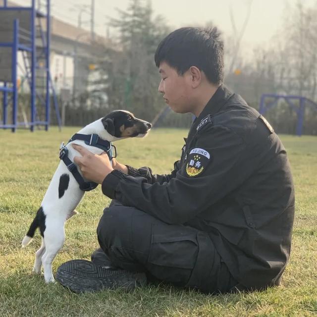 与警犬零距离的机会来了！