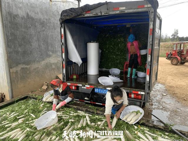 毕节：农业产业发展势头正足