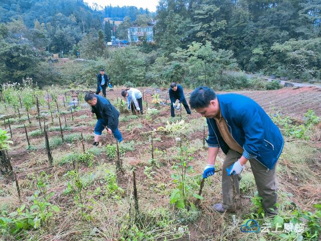 利川全面实施“田长制”每块耕地有田长啦