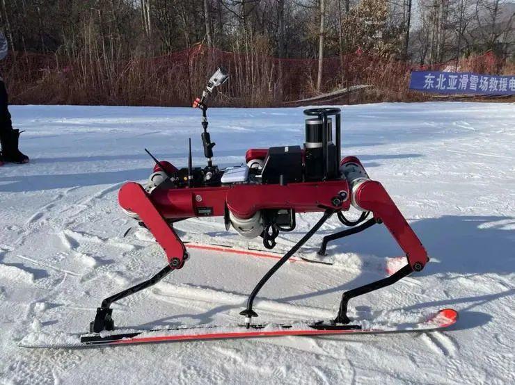 冬奥在即！“AI教练”、滑雪机器人，沪上高校科技助力“冰雪精灵”！