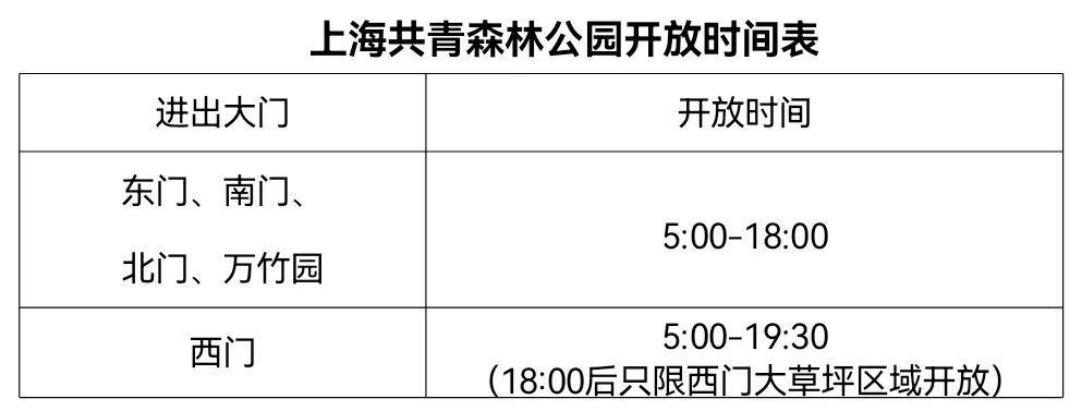 养护正当时，快收下这份水仙攻略！