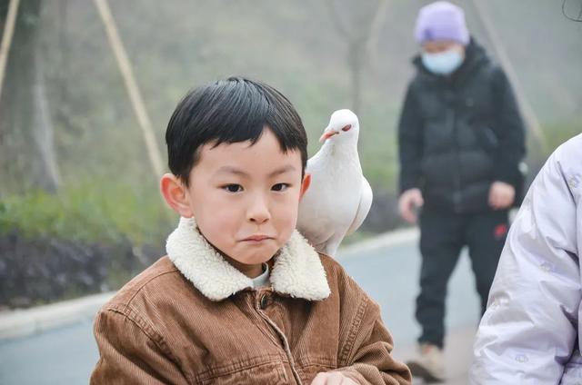 宜宾野生动物园上新 寒假溜娃好去处