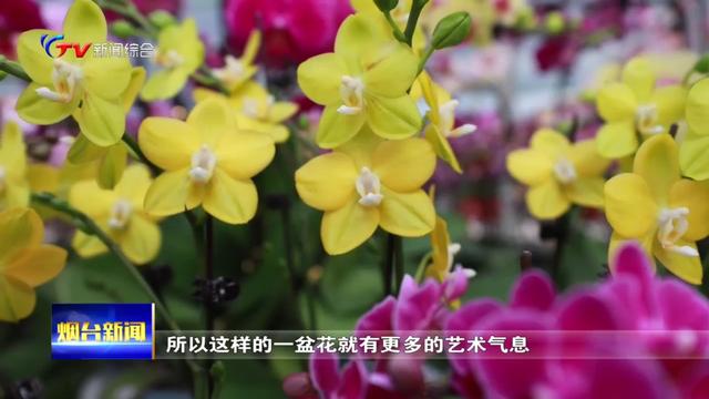 巧手组合的“花样”年味