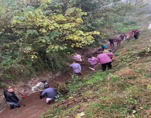 四川眉山市东坡区复兴镇：提升人居环境 赋能乡村振兴